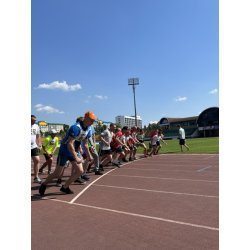 9-250x250-b4b